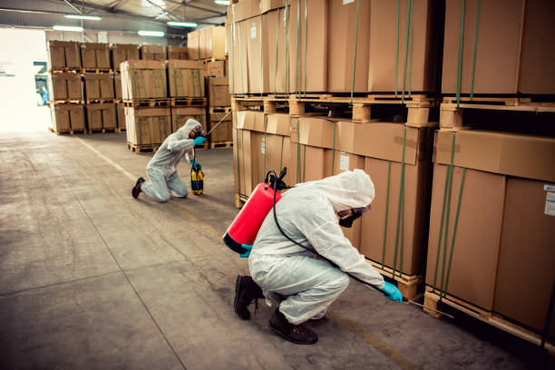 Best Affordable Pest Control Services  in Gainesville, VA