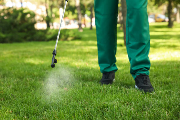 Pest Control for Restaurants in Gainesville, VA