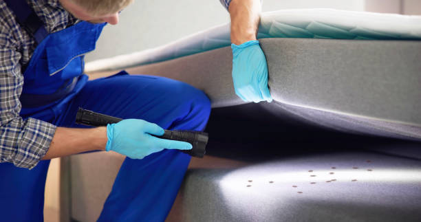 Best Commercial Pest Control Services  in Gainesville, VA